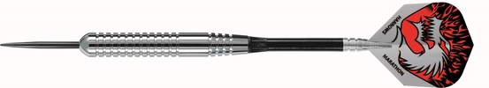 Strelytės  HARROWS SILVER ARROWS DARTS 3x26gR 2